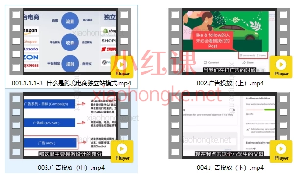 姜老师：独立站建站与营销，🔥一站式掌握独立站+FB/INS广告+TikTok！🔥