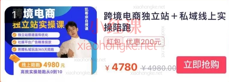 阿熔跨境电商独立站+私域线上实操陪
