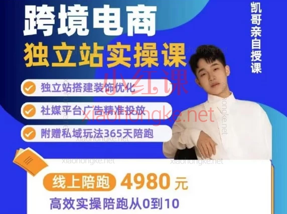 阿熔跨境电商独立站+私域线上实操陪