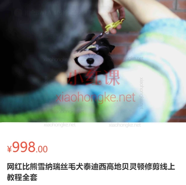 网红比熊雪纳瑞丝毛犬泰迪西高地贝灵顿修剪线上教程全套🔥全网超全宠物美容教程!89节网红犬种修剪秘籍大公开🔥