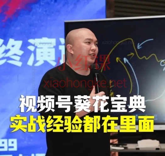 2025天诺老吴视频号葵花宝典(新)新手到爆单全攻略🔥