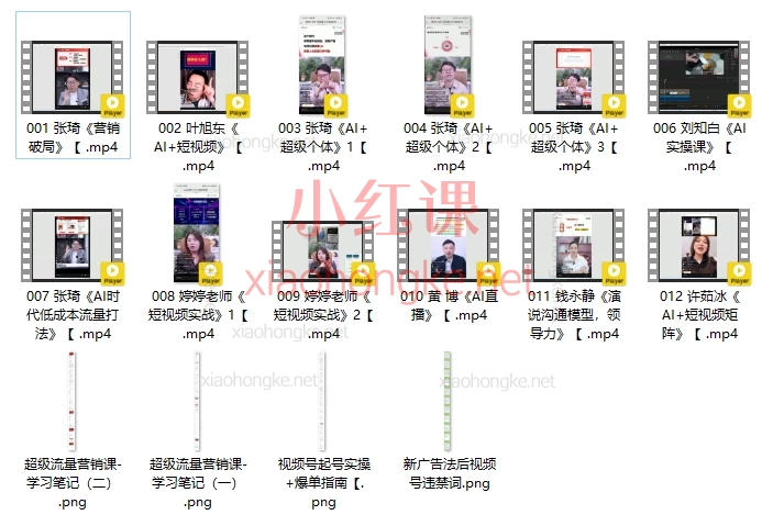 2025张琦超级流量营销课IP+AI搞定生意