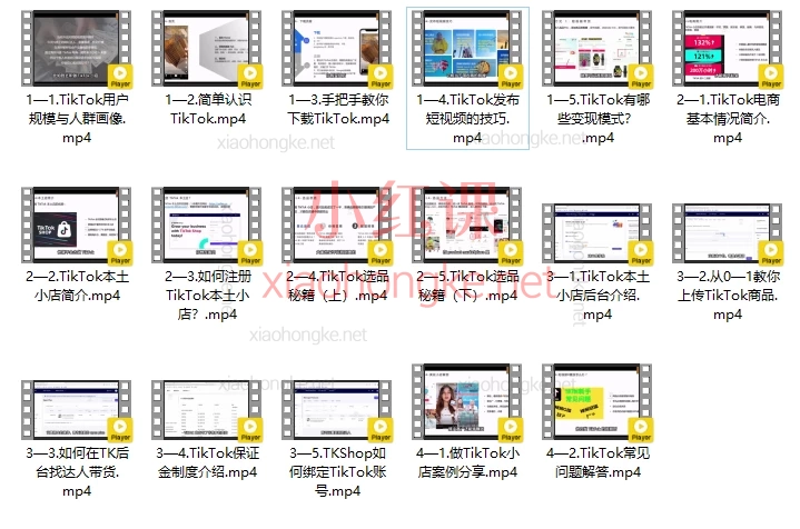 杨左使：从0-1教你做TikTok小店实战课🔰零基础也能月入5位数