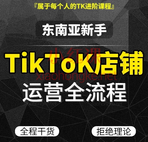 2025肥仔Tiktok东南亚店铺新手运营全流程,10节课小白变爆单大神💡