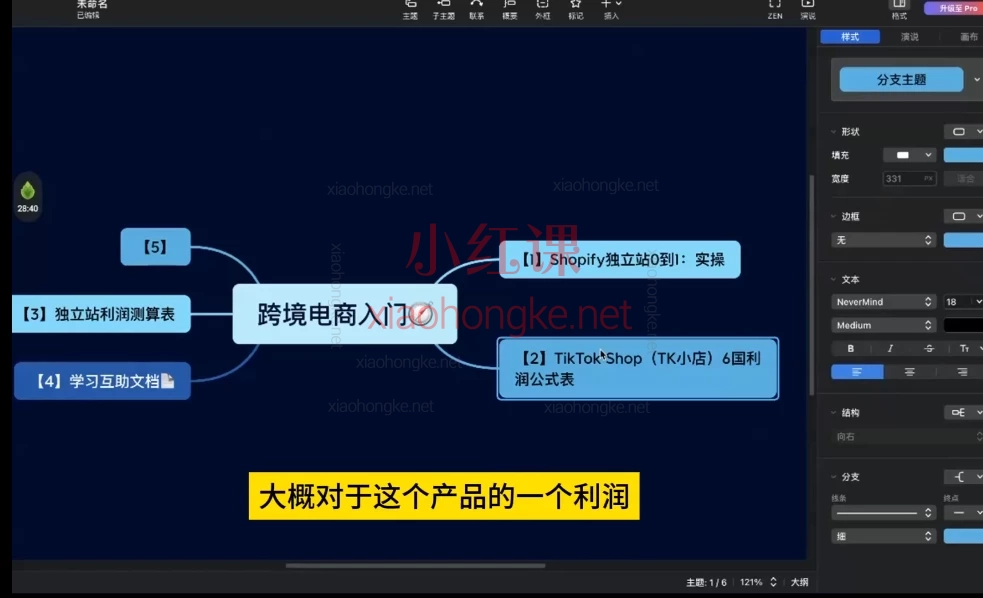 Zach跨境电商0到1:海外流量、独立站、选品、支付实操