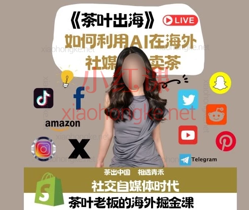 青禾-子涵Nemesis:茶叶出海利用ai在海外社媒卖茶掘金课