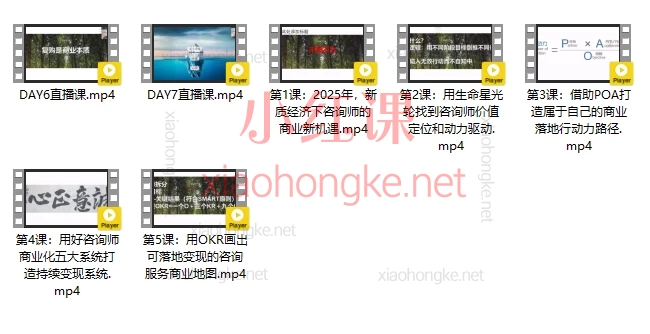 2025咨询师IP变现计划训练营