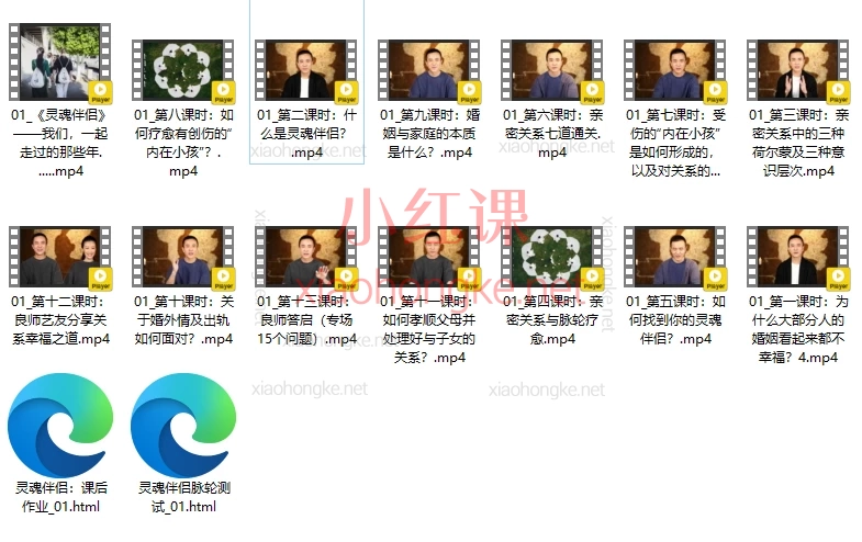了悟：灵魂伴侣｜亲密关系的智慧与终极修炼
