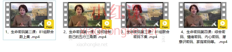 生命密码直播课程，内含81组联合数，情绪密码，内心密码，潜意识密码等综合密码内。