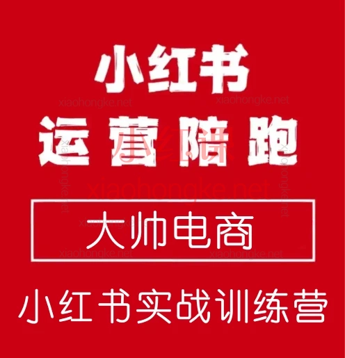 大帅电商毅超老师:小红书实战训练营· 从0到1玩赚小红书🌟
