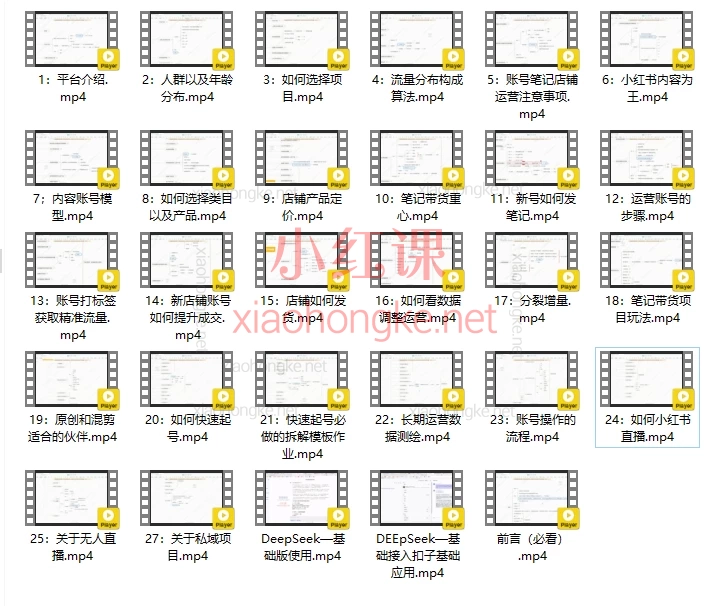 大帅电商毅超老师：小红书实战训练营· 从0到1玩赚小红书🌟
