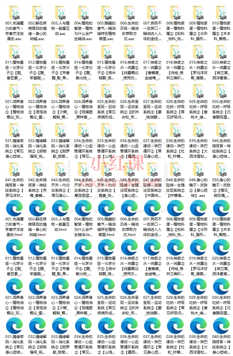 芳香乐府推出【芳疗基础50天】身心疗愈