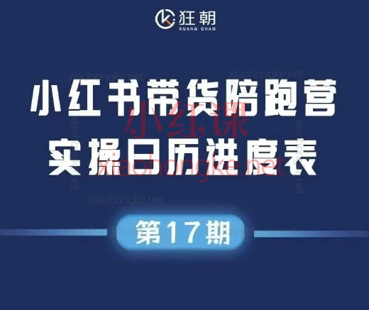 2025盗坤小红书第17期带货陪跑营