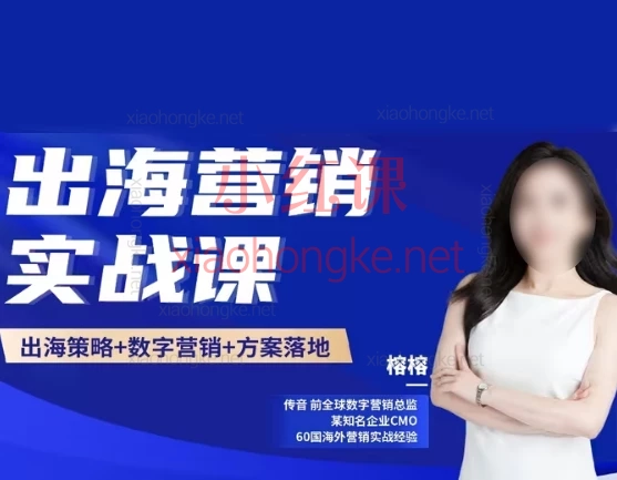 榕榕出海营销:出海营销实战课品牌策略数字营销策划方案,手把手教你玩转Facebook+Google+Tiktok💸