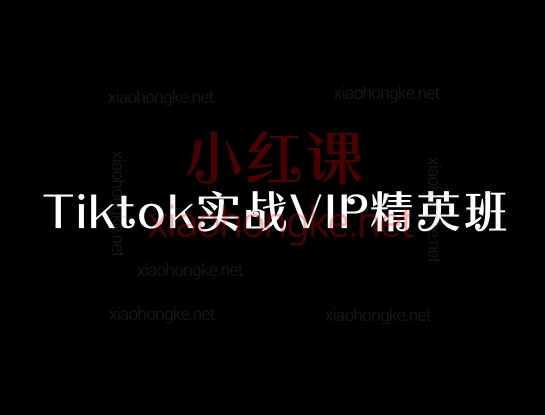 Tiktok实战VIP精英班,🔥24节保姆级教程,手把手教你玩转TikTok掘金💰从0到1,搞流量🔥赚美金💵全流程曝光❗