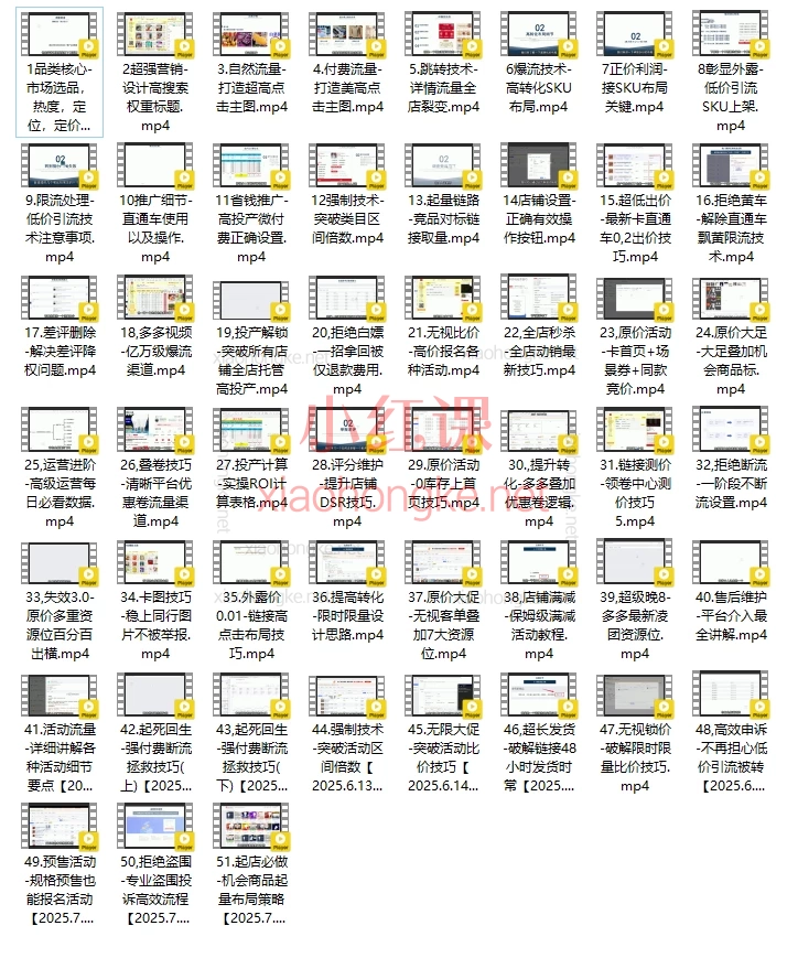 2025波仔电商-拼多多年卡会员,货解锁百万流量&防坑指南