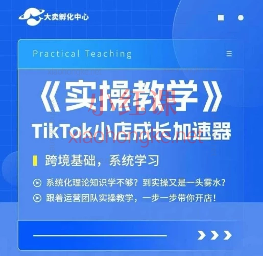 2025大卖孵化中心TikTok实操课,TikTok Shop全流程实战课🔥