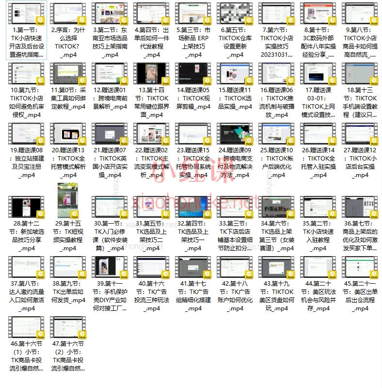 表哥TIKTOK小店短视屏直播独立站课程，从0-1做爆TikTok小店！新手避坑 + 高效出单实操课大公开！🚀