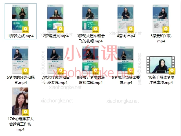 EVA(埃娃)17th心理学家大会梦境工作坊