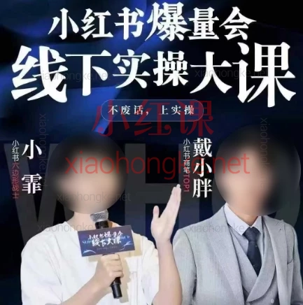 戴小胖-小红书爆量会6月28-30号线下课🔥 3天蜕变小×书运营高手!