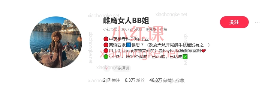 雌鹰女人BB姐的网站运营课,躺赚美金?0基础也能建独立站!