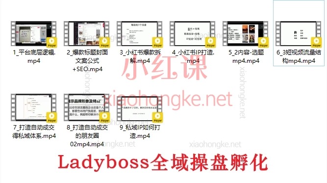 Ladyboss全域运营21天小红书成长变现+全域操盘孵化