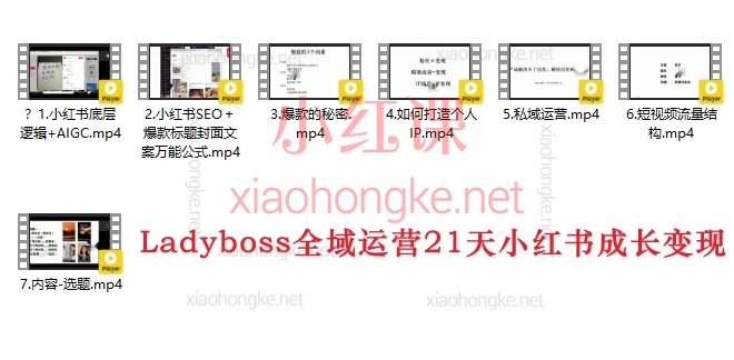 Ladyboss全域运营21天小红书成长变现+全域操盘孵化