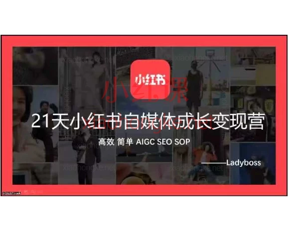 Ladyboss全域运营21天小红书成长变现+全域操盘孵化