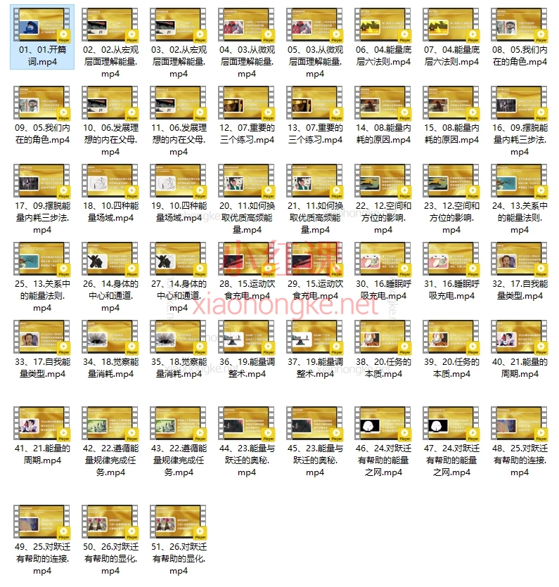 能量管理 掌握生命动力,✨开篇炸裂!从此告别“电量不足”的人生!