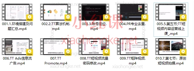 Tiktok技能培训实操课：10节实操课带你爆单涨粉！