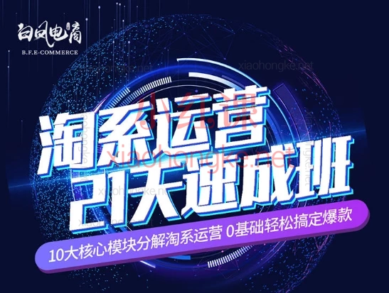 2025白凤电商学院·拼多多日销千单训练营1-38期