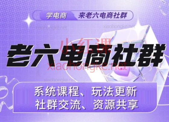 2025无招电商社群老六电商:新手到高手,爆单实战秘籍大公开!