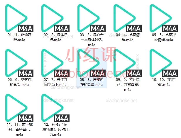 月亮老师 自我接纳，活出真我”正念冥想 12节，活出真我” | 宝藏心灵成长课🔥