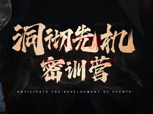 2025年7月薛峰洞彻先机密训营课程:深度解码游资操票精髓,抓龙头擒涨停