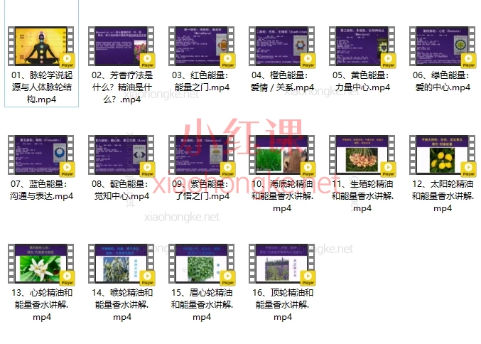 彭彭Flora色彩芳香疗愈课，唤醒内在能量！