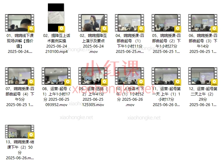 2025婉婉6月24-26号线下课【精品稀缺课】抖音起号+人货场+话术框架+带练实操⚡️