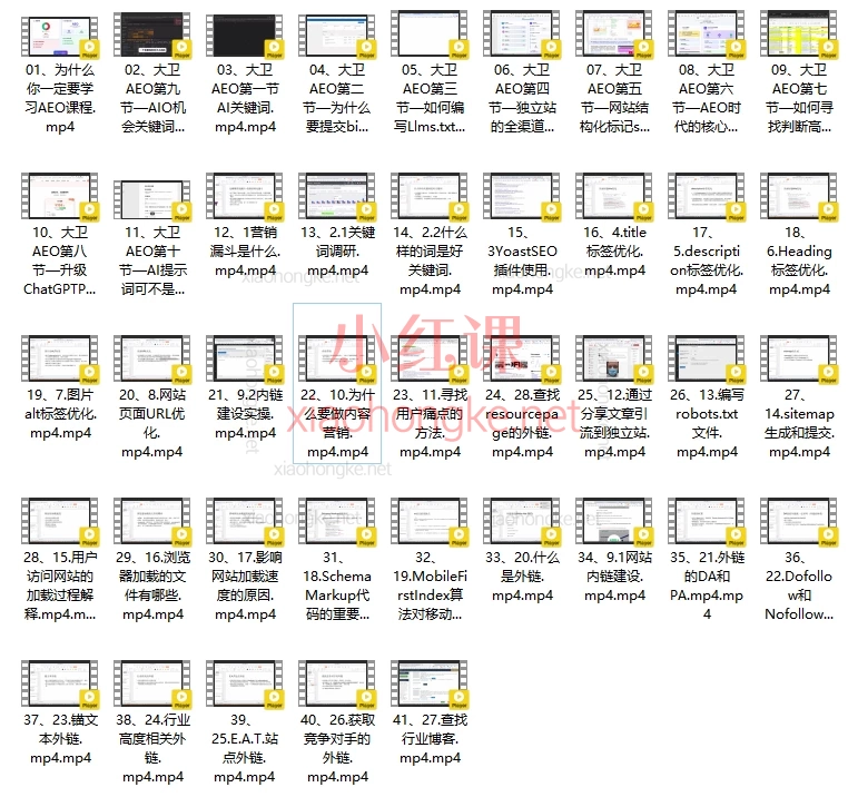 大卫2025谷歌AEO课程,AI已劫持一半流量!你还在用传统SEO硬刚吗?
