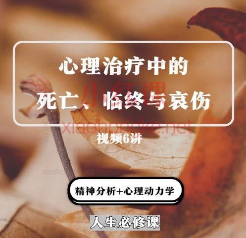 米尔顿·维德曼博士【视频6讲】人生必修课:如何应对死亡和哀伤?💔死亡是必修课:学会告别才能更好地活着