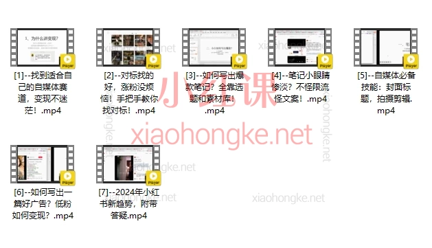 琳达不呆7天玩转小红书训练营｜小红书65万粉头部博主亲自授0粉也能变现！​