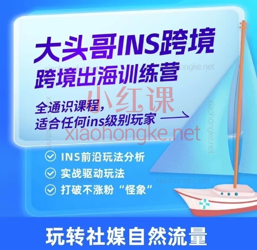 大头哥(Instagram )ins跨境电商出海训练营,跨境养号·限流解决·选品策略·广告投放·小店运营 全链路教学
