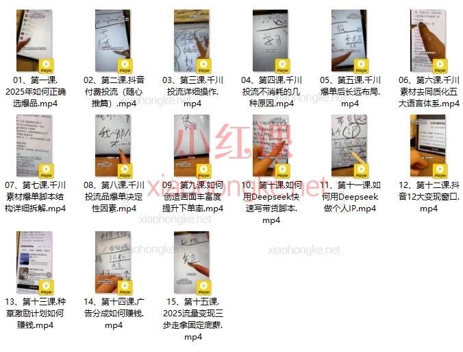 2025萌神个人IP短视频带货（进阶版）爆品、千川、AI脚本、全域流量变现💰