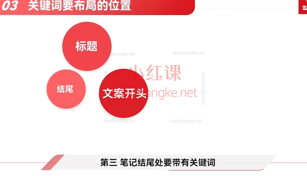 张琦老师新商业流量增长实操课274节