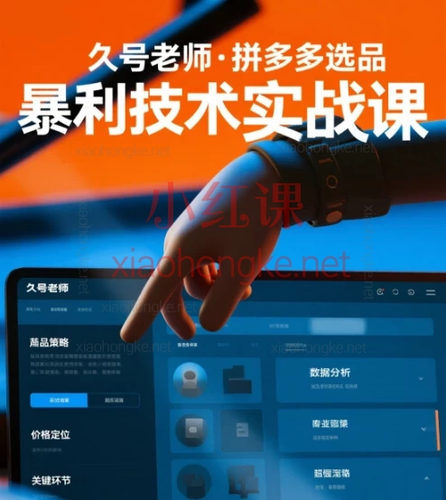 久号老师·拼多多选品暴利技术实战课:12大底层逻辑×8大暴利技术实战课(附独家货源库)