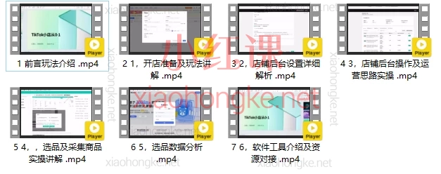 2025TikTok Shop-跨境电商全流程视频实操落地课,保姆级跨境小店暴富指南!🔥