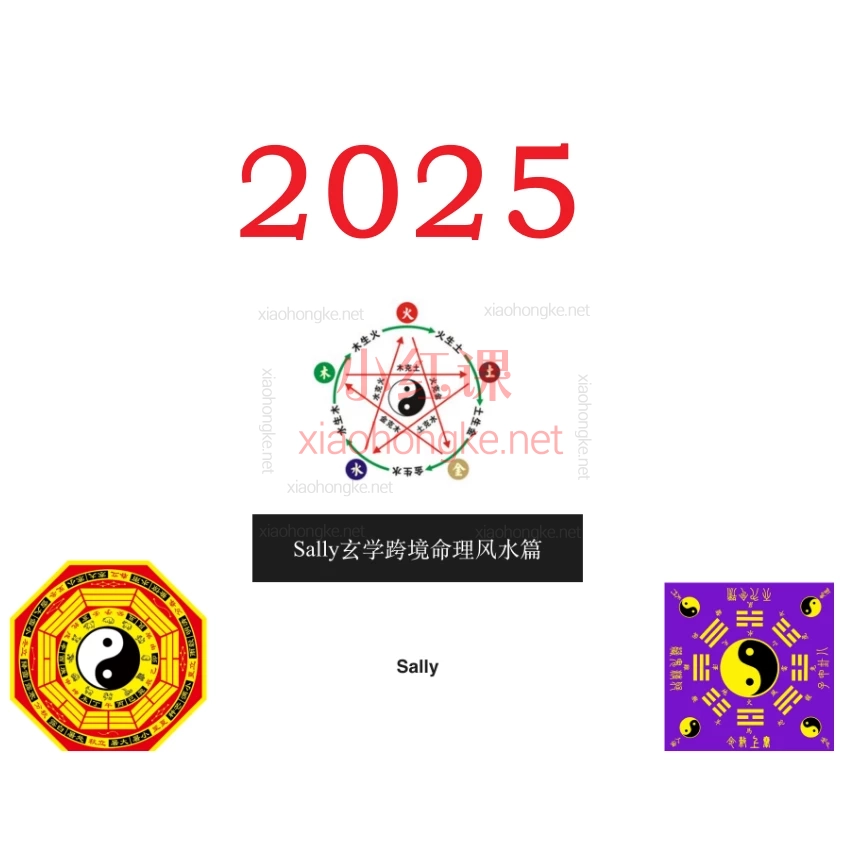 Sally玄学跨境Tiktok命理中英文课程,教你用风水占星收割TikTok全球流量💰