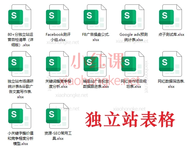跨境独立站运营全链路体系课:建站·推广·团队·SEO·广告·选品(2025实战版)