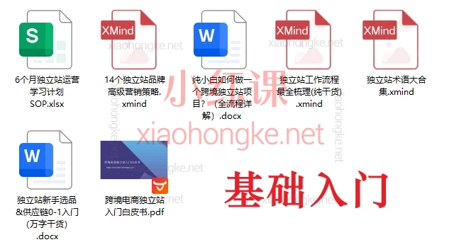 跨境独立站运营全链路体系课:建站·推广·团队·SEO·广告·选品(2025实战版)
