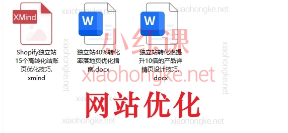 跨境独立站运营全链路体系课:建站·推广·团队·SEO·广告·选品(2025实战版)
