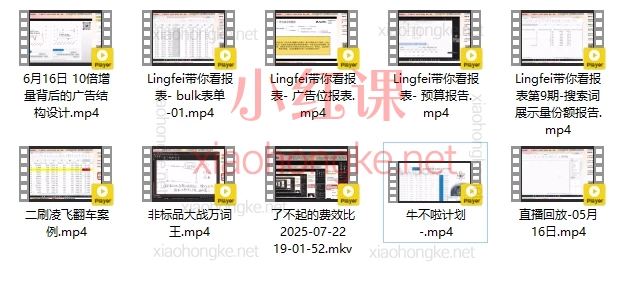 2025阿波罗亚马逊ppc广告实战秘籍全放送🔥爆单策略、报表精读与lingfei实战案例拆解