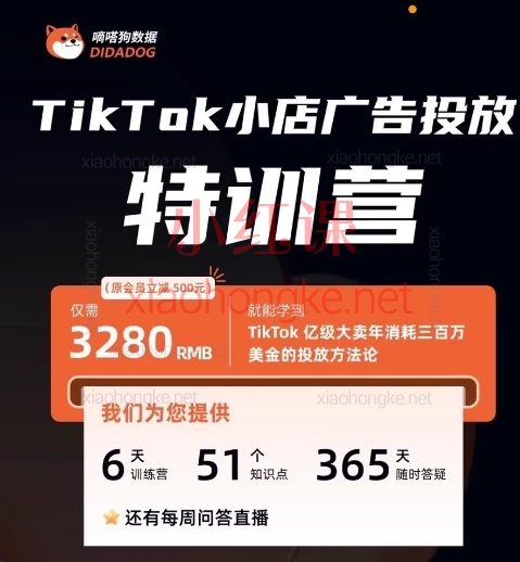 嘀嗒狗数据TikTok小店广告投放特训营,美区/东南亚TikTok电商广告投放·6天玩转VSA/LSA/PSA!🔥